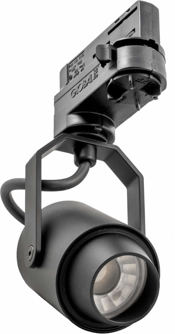 Alternative text - Soka Disderot